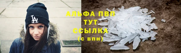 тгк Алзамай
