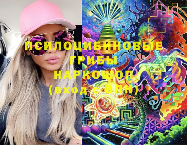 гидропоника Осинники