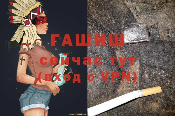 гидра Абаза
