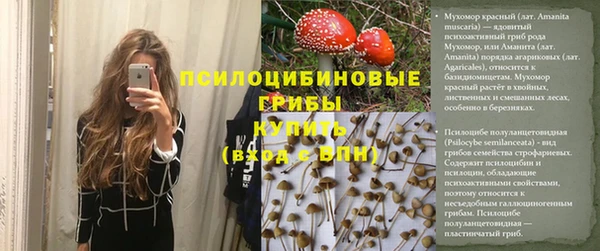 гидра Абинск