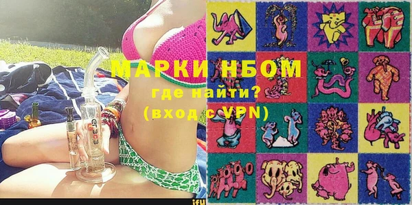 гидра Абаза