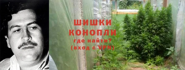 гидра Абаза