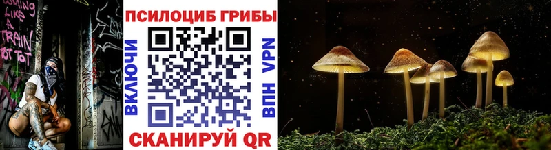 Галлюциногенные грибы прущие грибы  Мещовск 